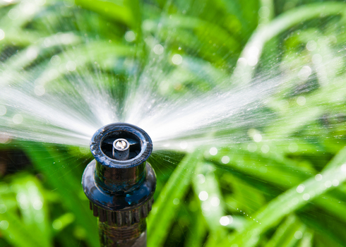 sprinkler head - sprinkler website
